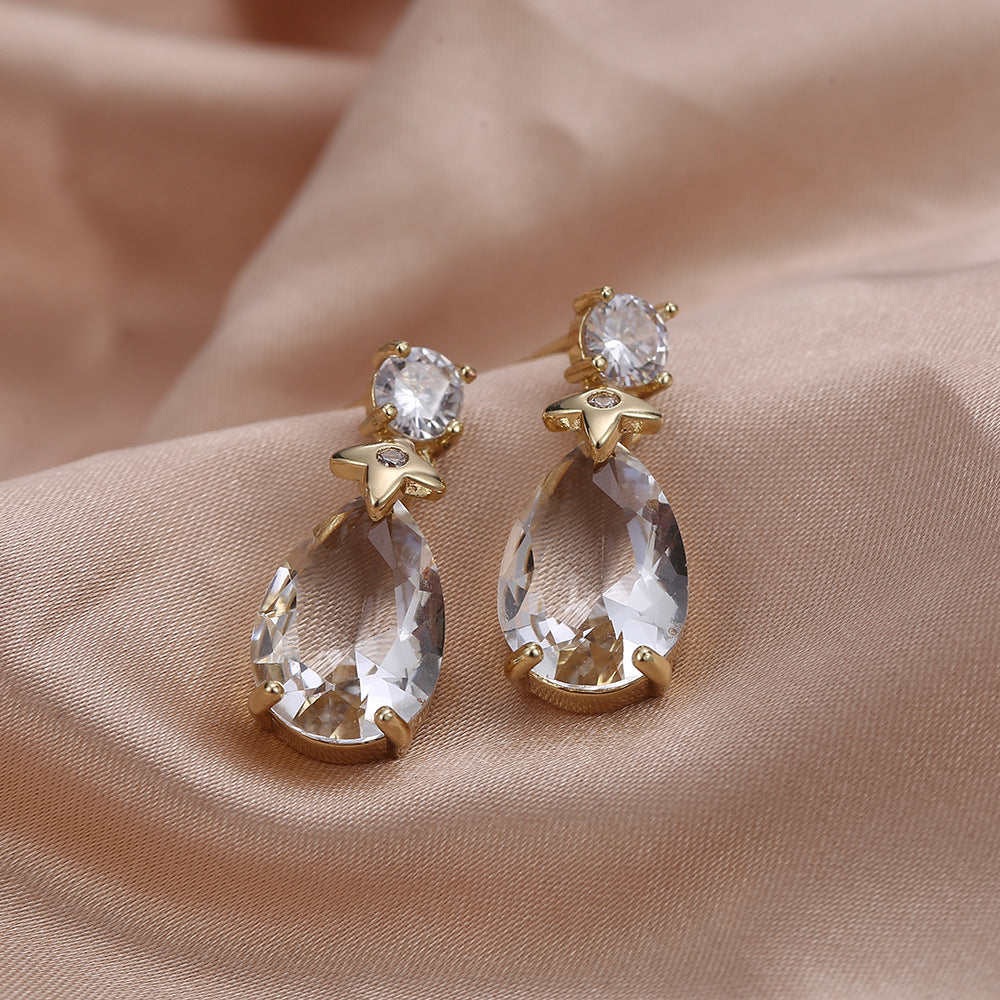 Elegant Drop Design Earrings