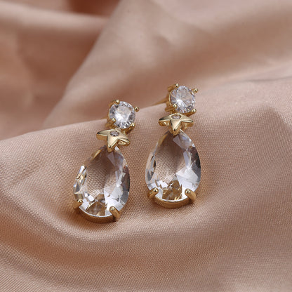 Elegant Drop Design Earrings
