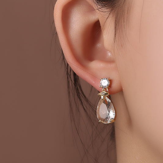 Elegant Drop Design Earrings
