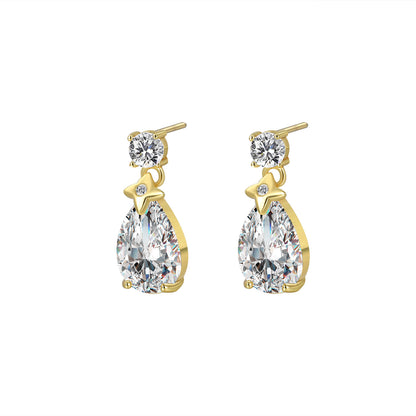 Elegant Drop Design Earrings