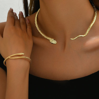 Elegant Snake Necklace Bracelet Set